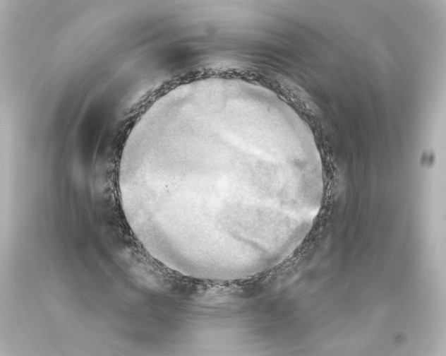 X0000093580824200710291059