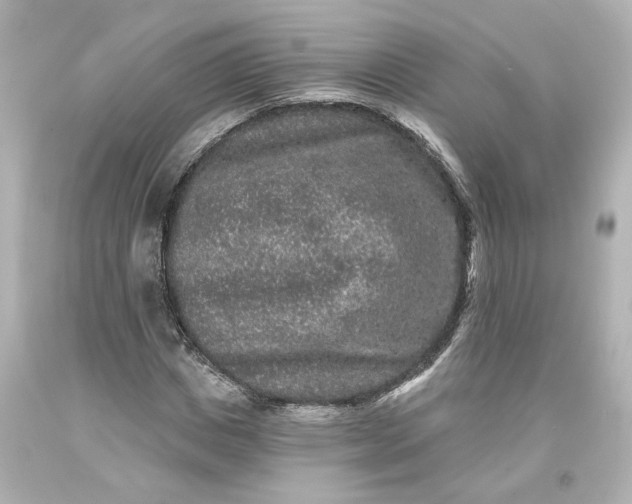 X0000093580825200710291059