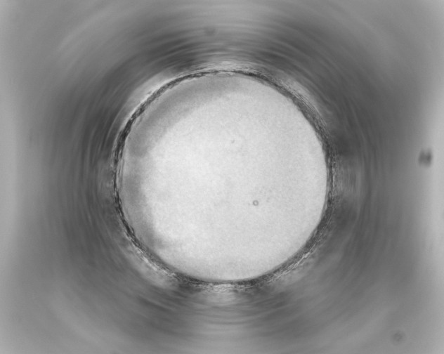 X0000093580828200710291059