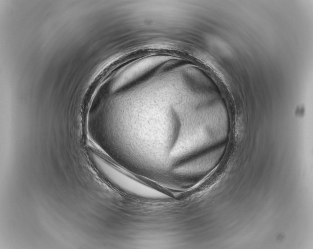 X0000093580829200710291059