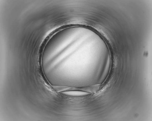 X0000093580830200710291059