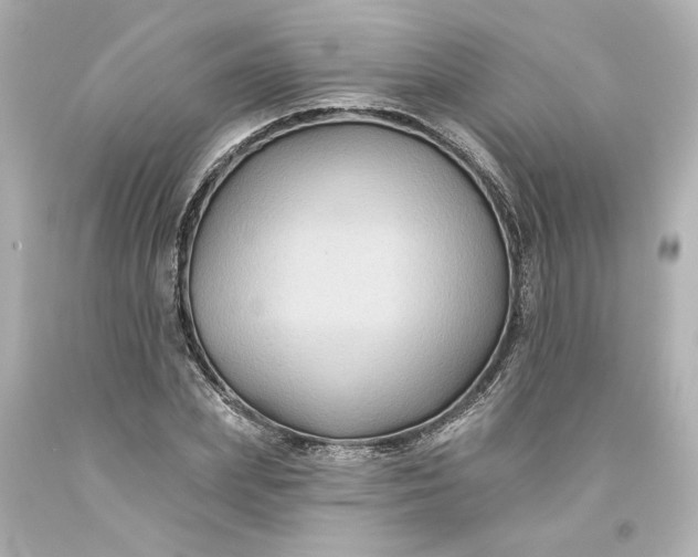 X0000093580831200710291059