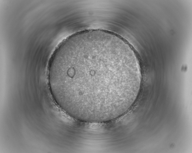 X0000093580832200710291059