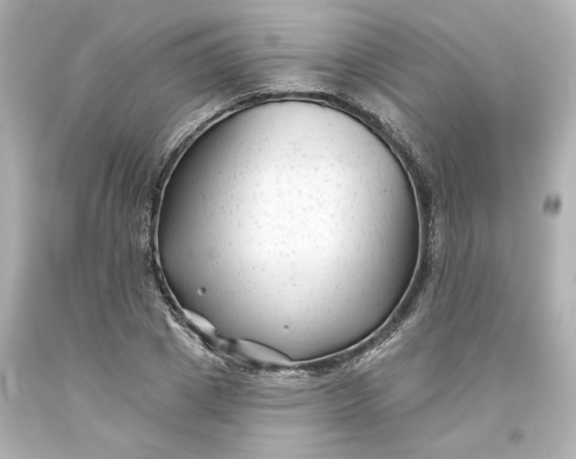 X0000093580833200710291059