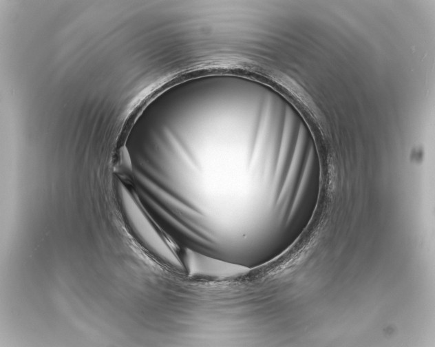 X0000093580834200710291059