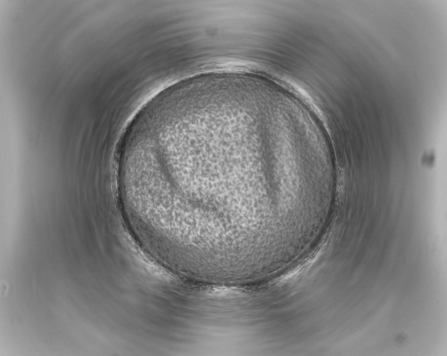 X0000093580835200710291059