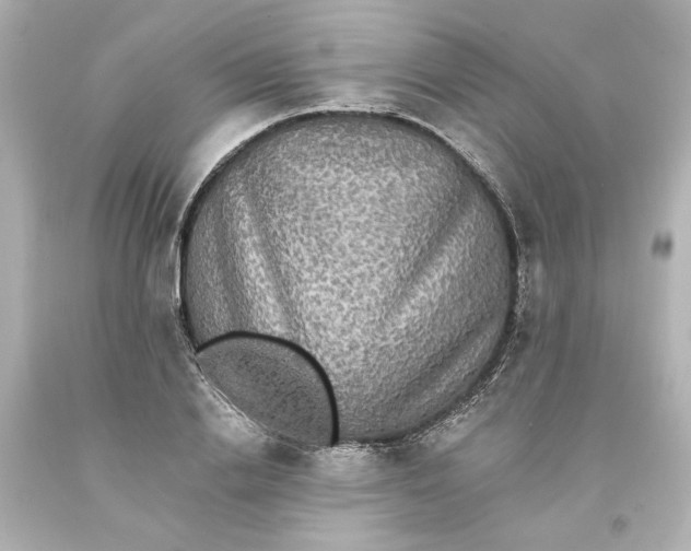 X0000093580838200710291059