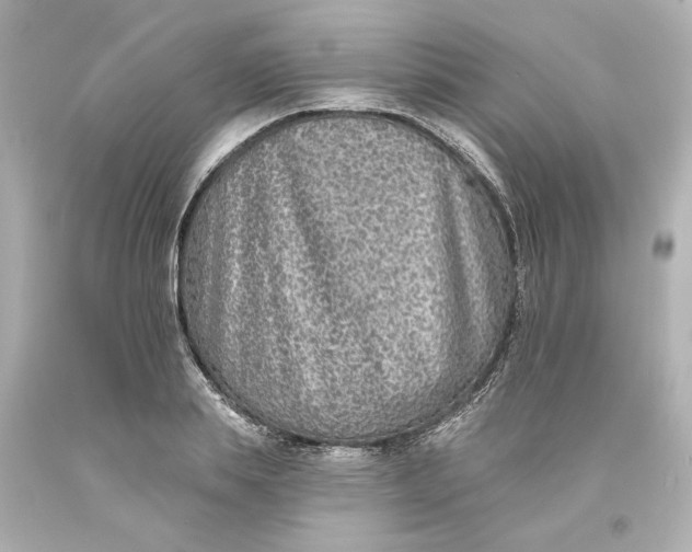 X0000093580839200710291059