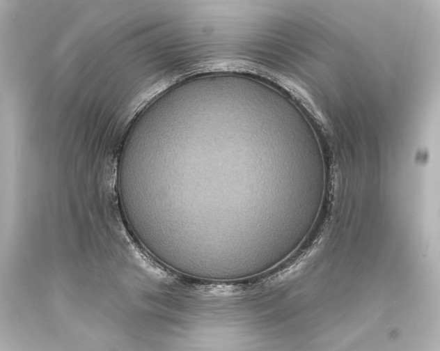 X0000093580841200710291059