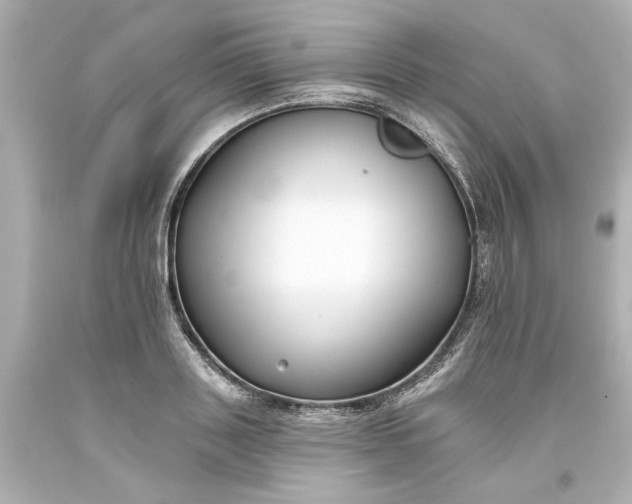 X0000093580843200710291059