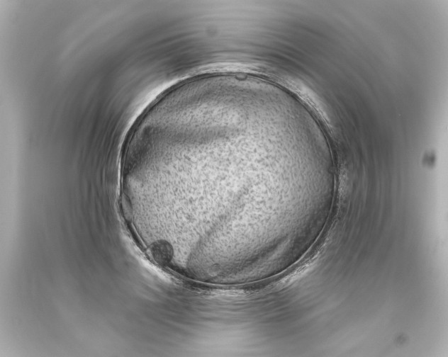 X0000093580844200710291059