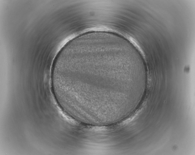 X0000093580845200710291059