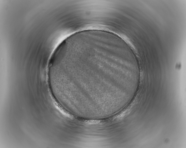 X0000093580846200710291059