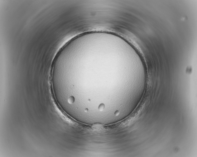 X0000093580847200710291059