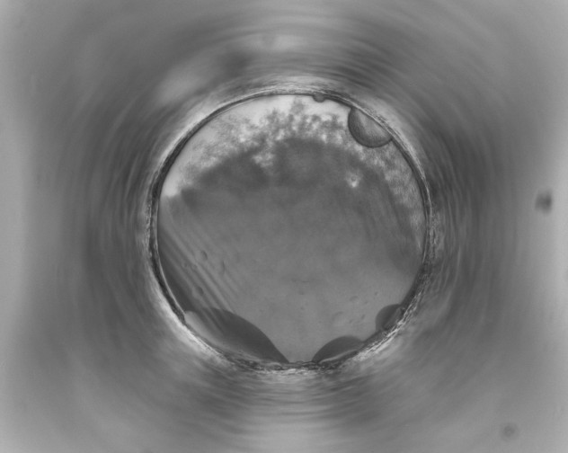 X0000093580851200710291100