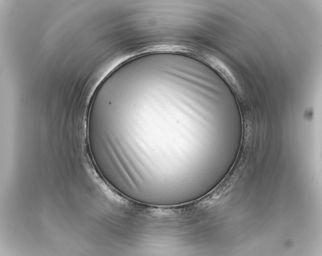 X0000093580852200710291100