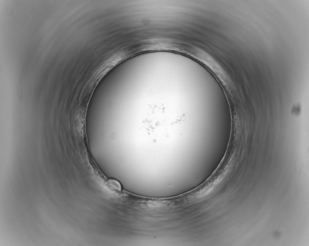 X0000093580857200710291100