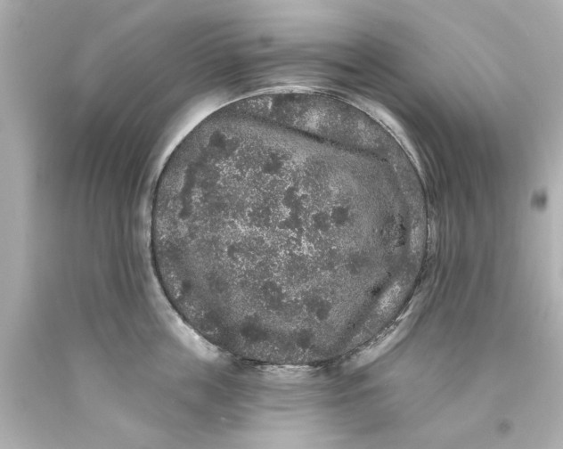 X0000093580859200710291100