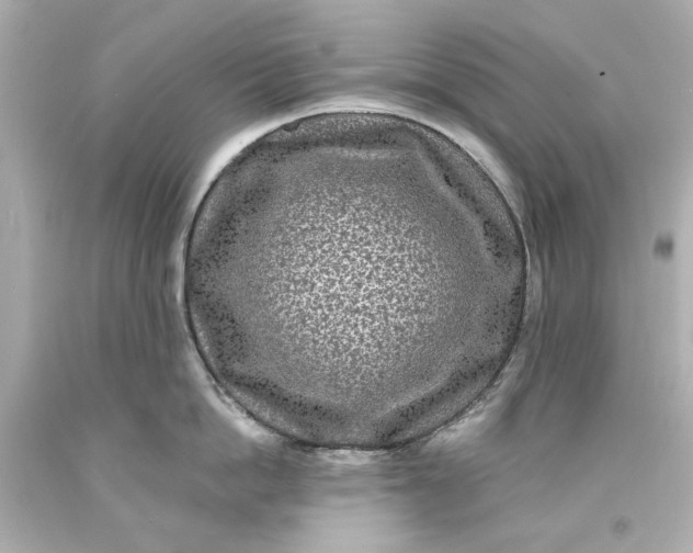 X0000093580862200710291100