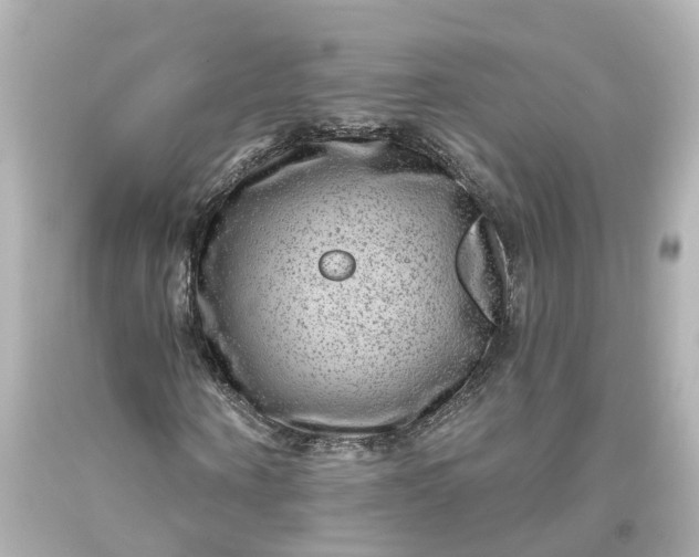 X0000093580866200710291059