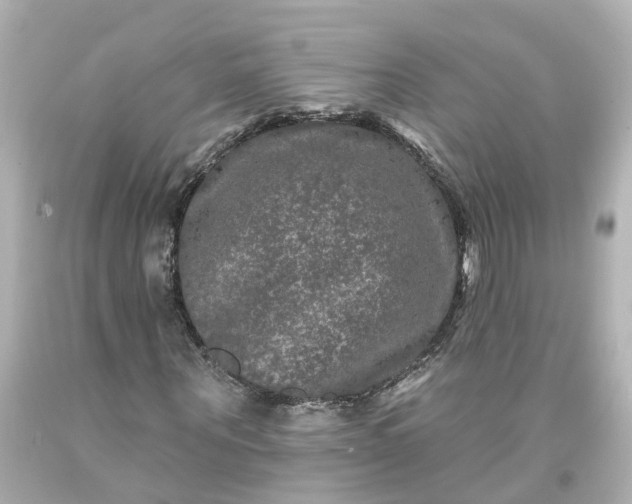 X0000093580867200710291059