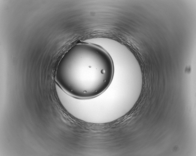 X0000093580868200710291059