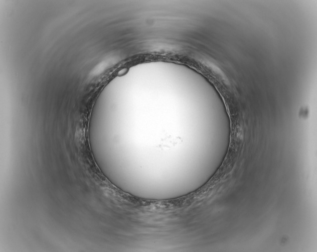 X0000093580869200710291059