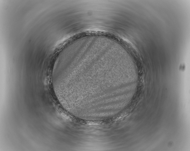 X0000093580870200710291059