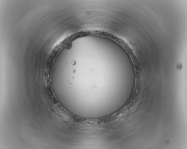 X0000093580871200710291059