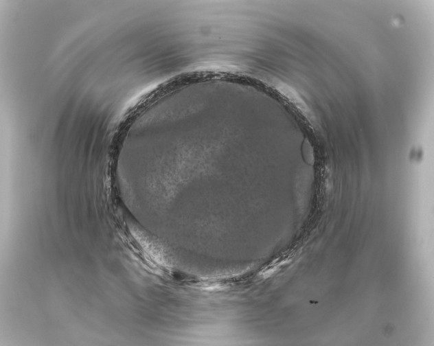 X0000093580872200710291059