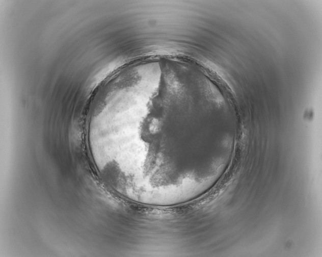 X0000093580874200710291059