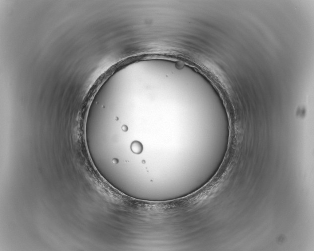 X0000093580875200710291059