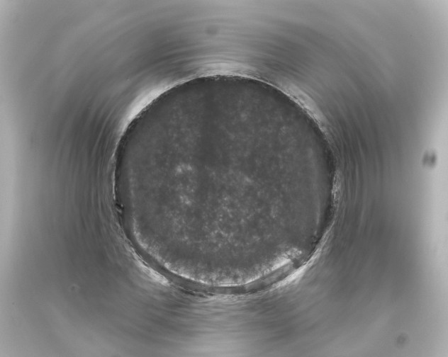 X0000093580877200710291059