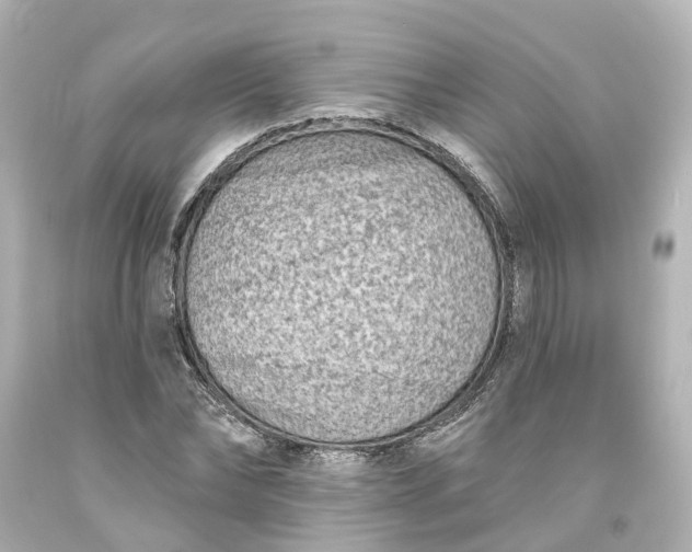 X0000093580878200710291059