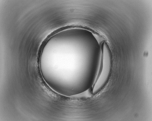 X0000093580880200710291059