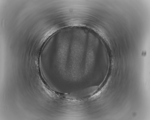 X0000093580881200710291059