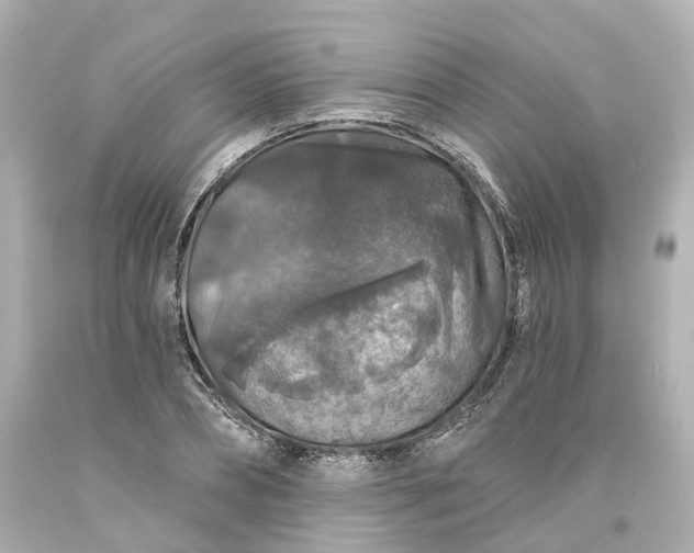 X0000093580882200710291059