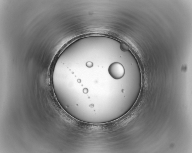 X0000093580883200710291059