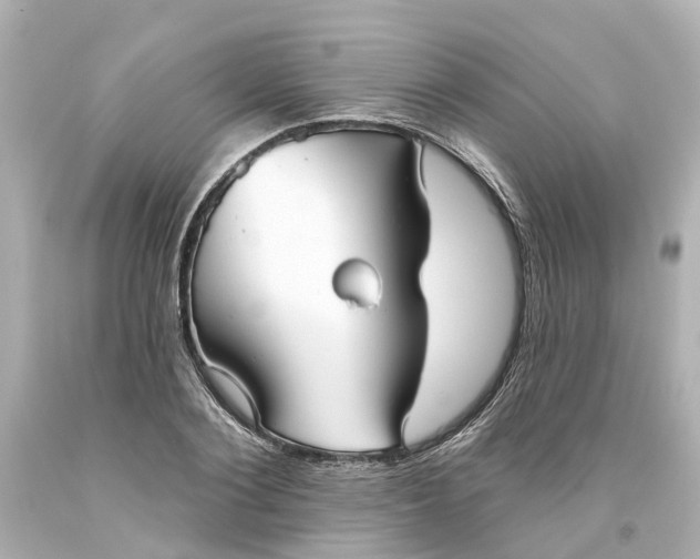 X0000093580884200710291059