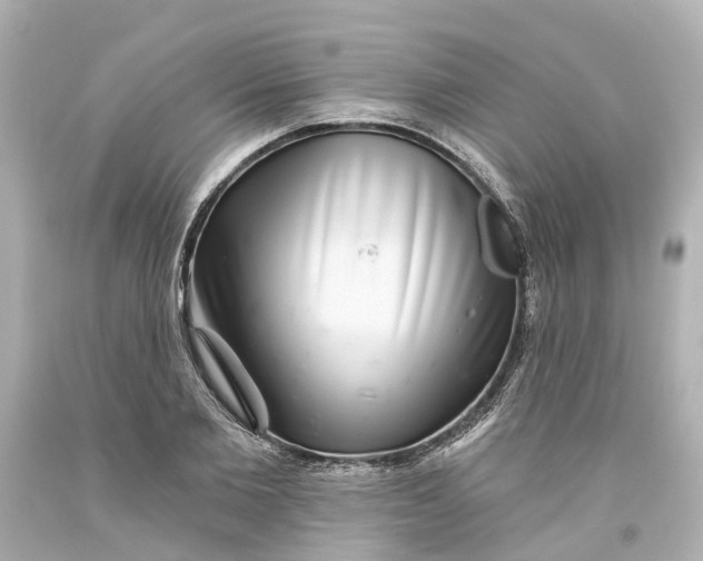 X0000093580885200710291059