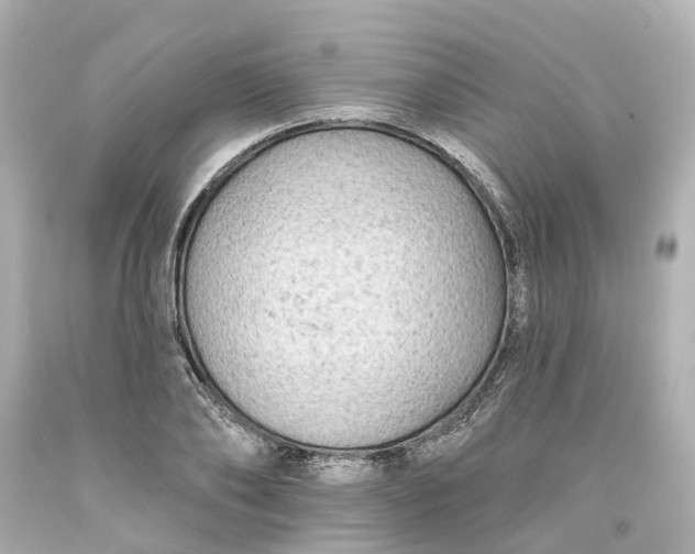 X0000093580886200710291059