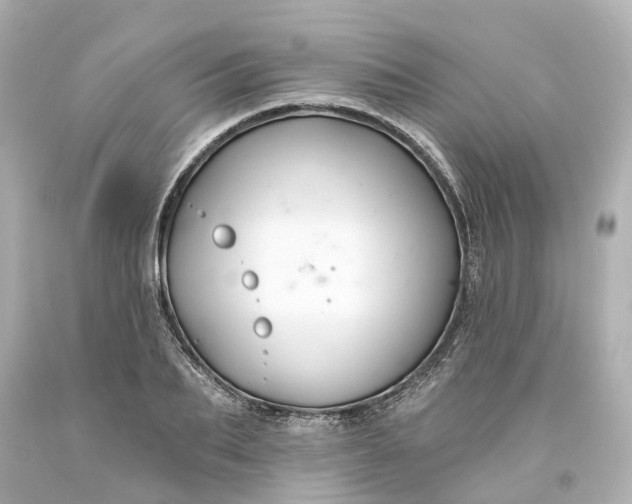 X0000093580887200710291059