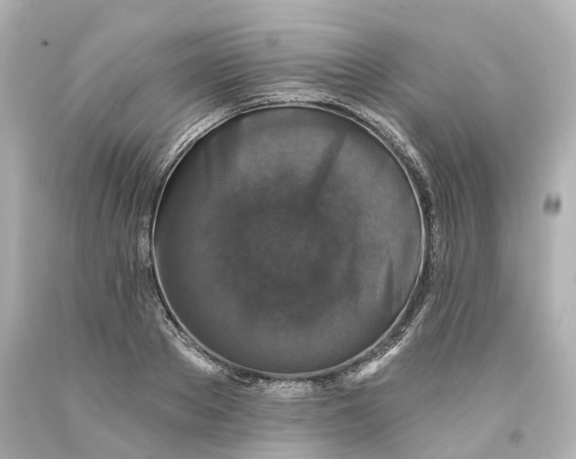 X0000093580889200710291059