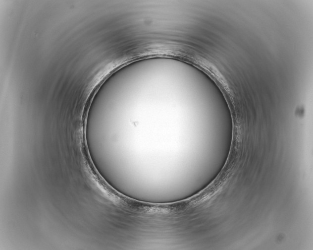 X0000093580890200710291059