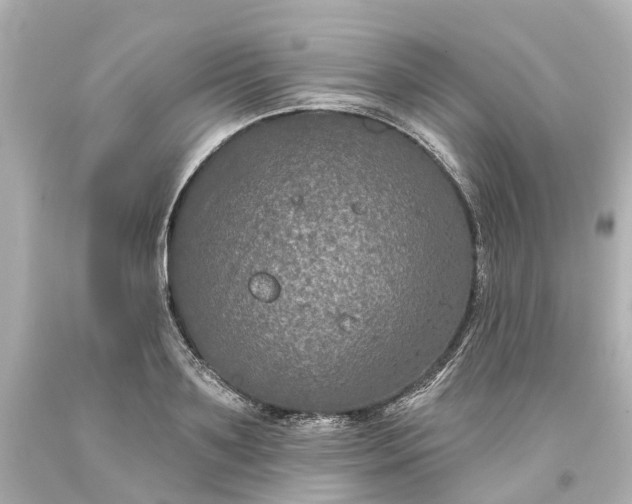 X0000093580891200710291059