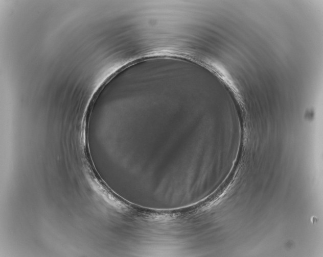 X0000093580892200710291059