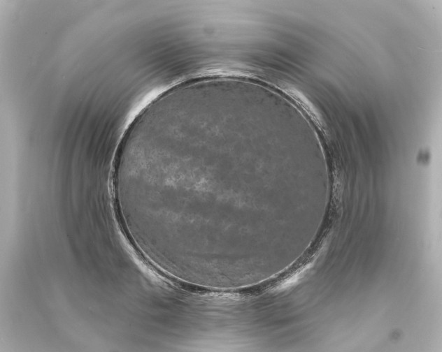 X0000093580893200710291059