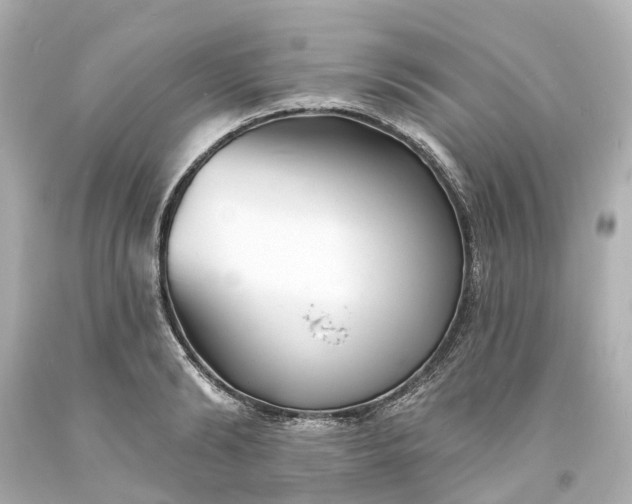 X0000093580894200710291059