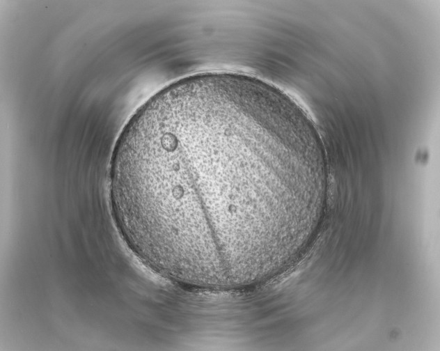 X0000093580895200710291059