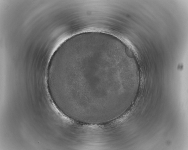 X0000093580896200710291059